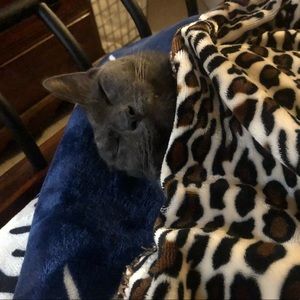 Meet your Posher, Sofia